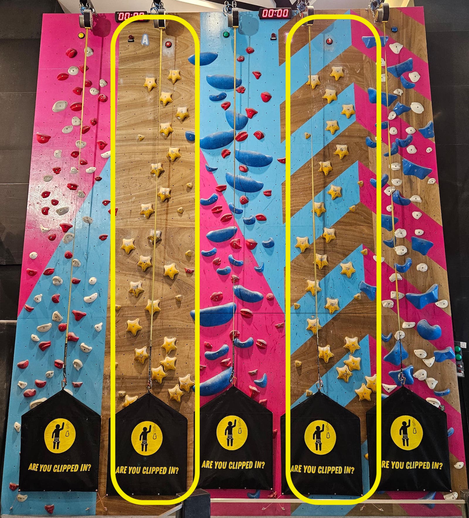 The two yellow Star-hold speed routes at BFF Climb Bendemeer